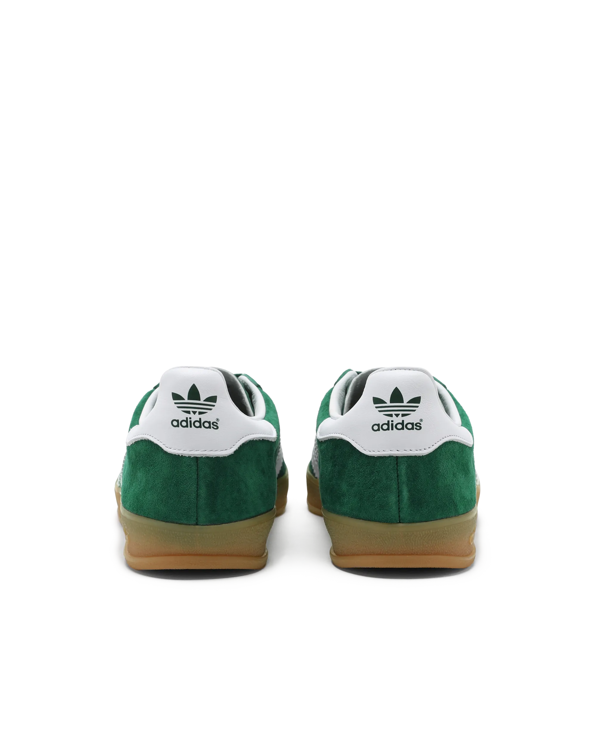 GAZELLE INDOOR